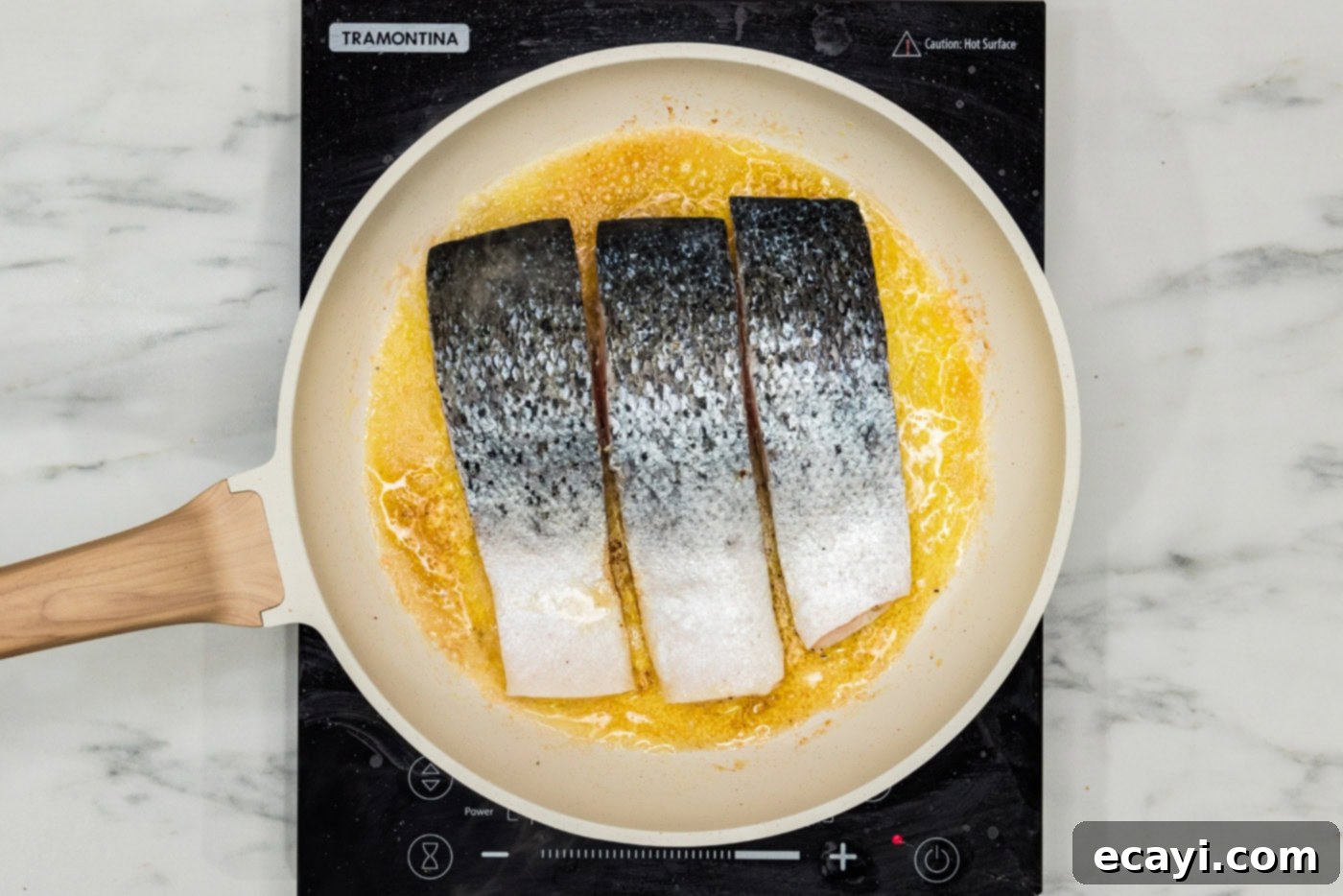 Creamy Tuscan Salmon 5 salmon filets in a skillet skin side up