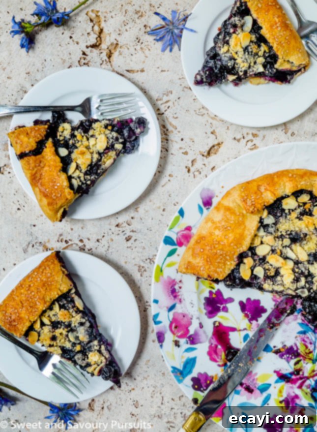 Rustic Blueberry Almond Crumble Galette 3 Blueberry Almond Crumble Galette, by Sweet and Savoury Pursuits // FoodNouveau.com