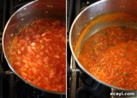 Crafting Perfect Fresh Tomato Sauce 3 A side-by-side comparison of fresh tomato sauce: one side shows a thinner, juicier consistency before simmering, and the other shows a rich, thick, and reduced consistency after simmering. This visual guide demonstrates how to achieve the perfect homemade fresh tomato sauce.