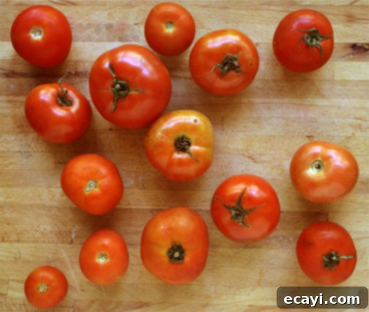 Humble (but very tasty!) garden tomatoes: The ideal canvas for your homemade fresh tomato sauce. A basket filled with red, ripe garden tomatoes, ideal for making fresh homemade tomato sauce. The tomatoes are plump and ready for cooking.