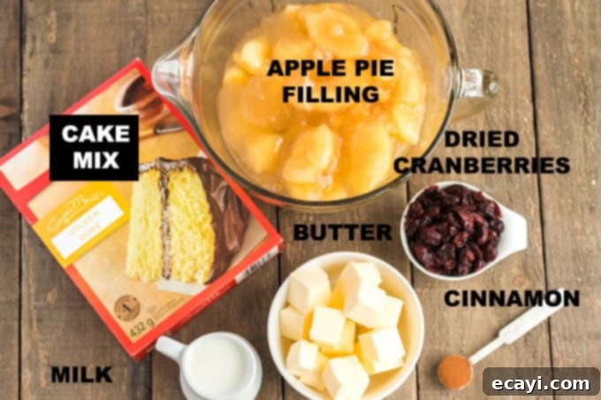 Fall is all about apples and cranberries. We love our apple cobbler all year long, but reserve this Cranberry Apple Cobbler for the autumn months. labeled illustration of cranberry apple cobbler ingredients