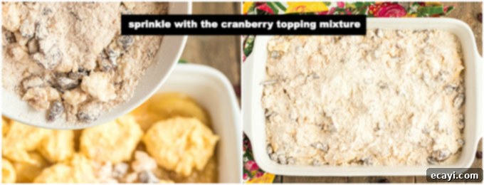 Warm Apple Cranberry Cobbler 5 adding topping to cobbler