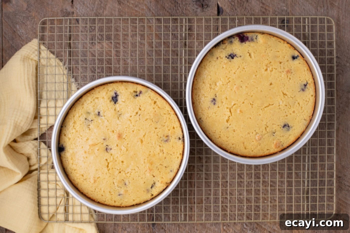 Zesty Lemon Blueberry Bliss 10 Freshly baked lemon blueberry cake layers cooling in their pans on a wire rack