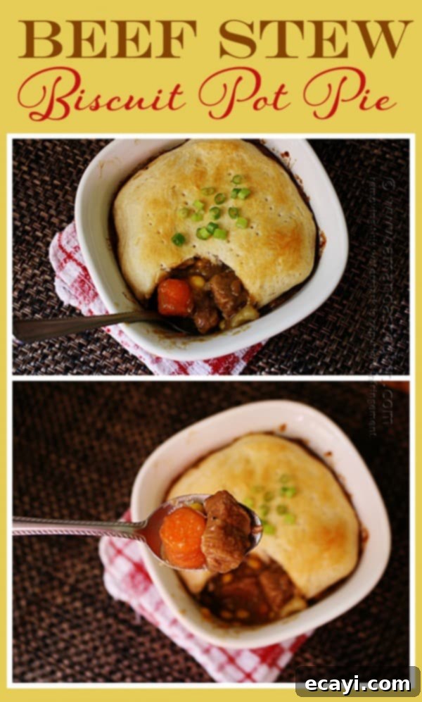 Homestyle Beef Biscuit Pot Pie 3 Two individual Beef Stew Biscuit Pot Pies freshly baked, showcasing the golden biscuit tops and rich stew bubbling beneath, served in rustic ceramic ramekins.