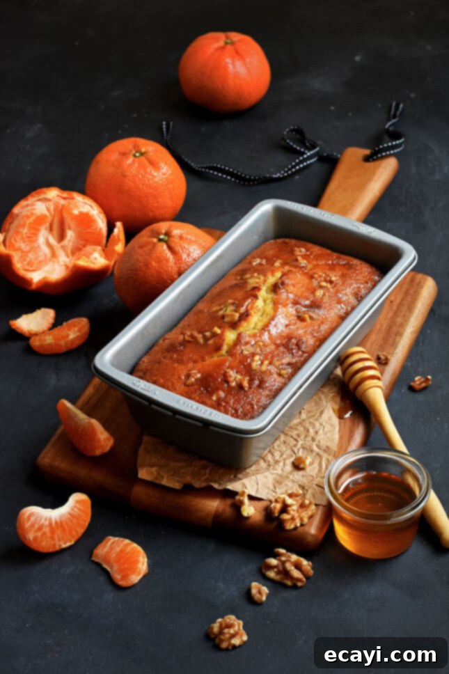 Honey-Kissed Tangerine Walnut Cake 3 Close-up of a slice of Tangerine, Honey, and Walnut Cake, showing its moist texture and walnuts, by Pardon Your French // FoodNouveau.com