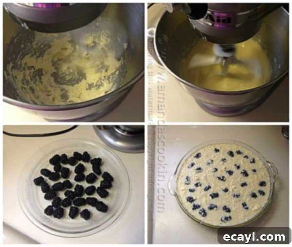 Blackberry Coconut Magic Pie 8 Step-by-step: Pouring batter over blackberries in a pie plate