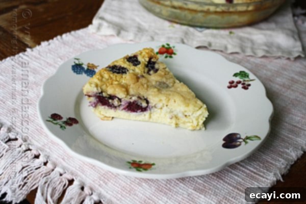 Blackberry Coconut Magic Pie 6 Unbaked Blackberry Coconut Impossible Pie batter with berries