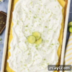 Tangy Key Lime Dessert Bars 12 Close up photo of a Key Lime Slab Pie
