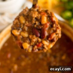 Hearty Three Bean Chili 2 ladle full of chili