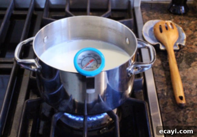 Whip Up Fresh Ricotta At Home 7 How to Make Homemade Ricotta Cheese: A Detailed, Step-by-Step Recipe // FoodNouveau.com