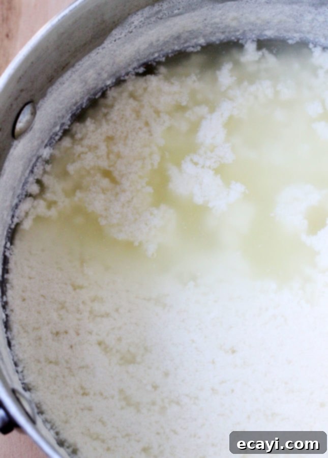 Whip Up Fresh Ricotta At Home 8 How to Make Homemade Ricotta Cheese: A Detailed, Step-by-Step Recipe // FoodNouveau.com