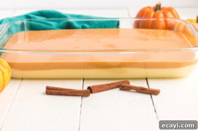 Spiced Pumpkin Magic Cake 6 The baking pan now contains two distinct layers: yellow cake batter below and pumpkin mixture on top.