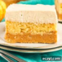 Spiced Pumpkin Magic Cake 11 slice of pumpkin magic cake with distinct layers