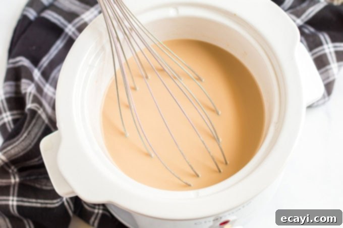 Autumn Spice Dream 7 Whisking pumpkin spice latte ingredients thoroughly in the crockpot