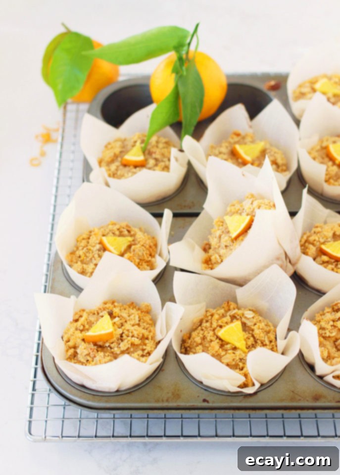 Zesty Whole Orange Maple Oat Muffins 6 Tasty, Healthy & Dairy-Free: Whole Orange and Maple Oatmeal Muffins // FoodNouveau.com