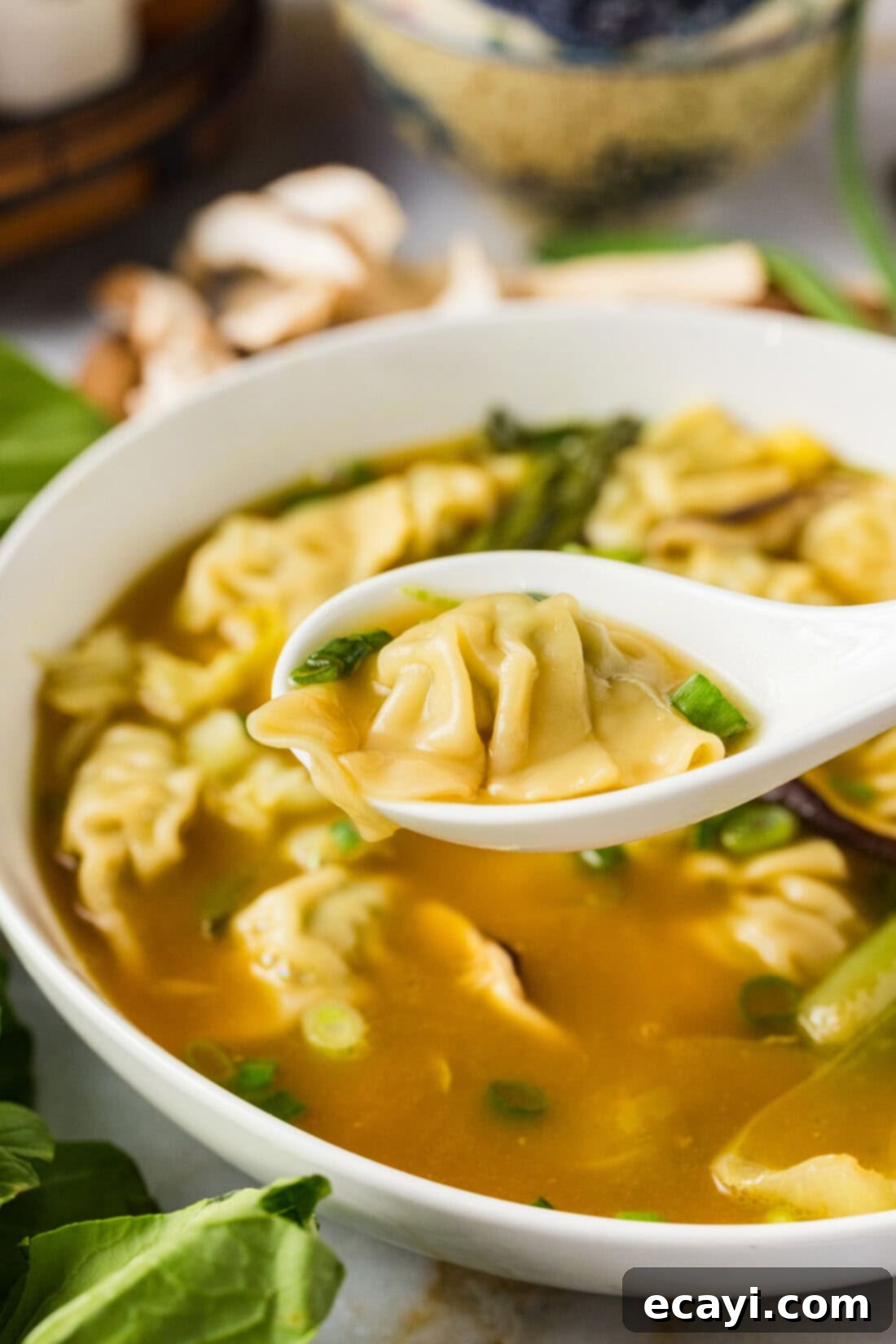 Wonton Wonders 3 Close-up of a plump wonton held on a spoon above a bowl of flavorful wonton soup.