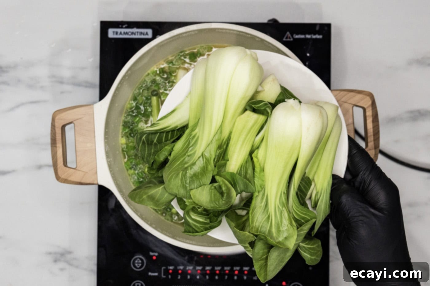 Wonton Wonders 6 A hand adding fresh baby bok choy to a stockpot filled with chicken broth and green onions.