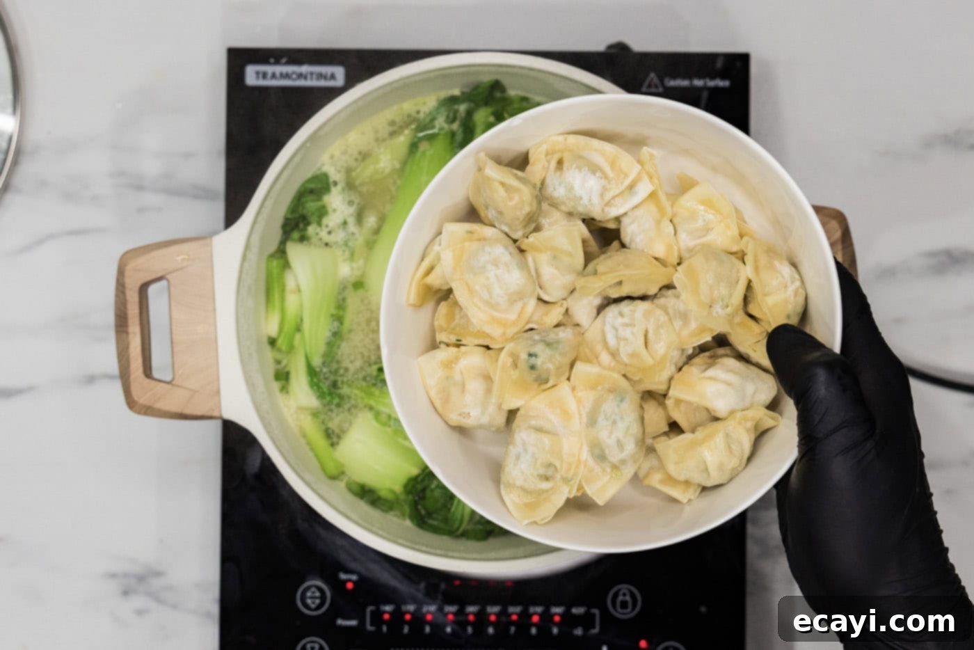 Wonton Wonders 7 Adding frozen wontons to the stockpot containing the bubbling chicken broth and vegetables.