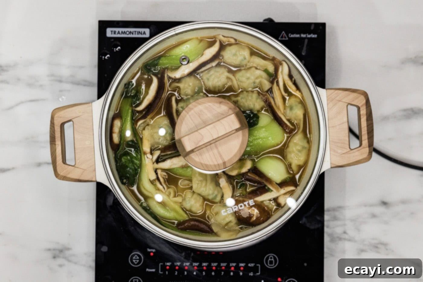 Wonton Wonders 9 Lid on a stockpot with a savory wonton soup bubbling inside.