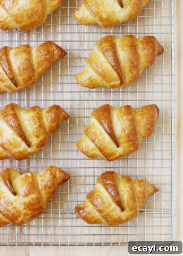 Mastering Flaky Homemade Croissants 21 How to Make Homemade Croissants from Scratch // FoodNouveau.com