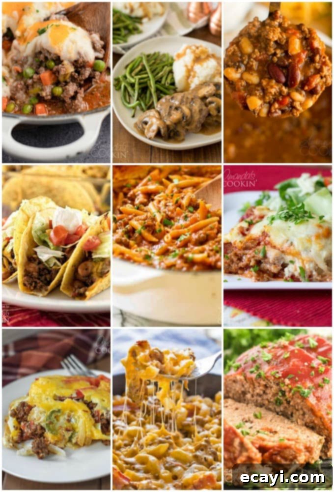Over 40 Delicious Ground Beef Dinner Recipes 2 A vibrant collection of diverse dishes featuring ground beef, ready to inspire your next meal.