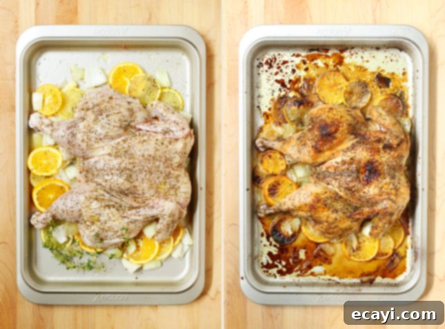 Golden Citrus Spatchcock Chicken 3 Spatchcocked Chicken with Lemons and Oranges // FoodNouveau.com