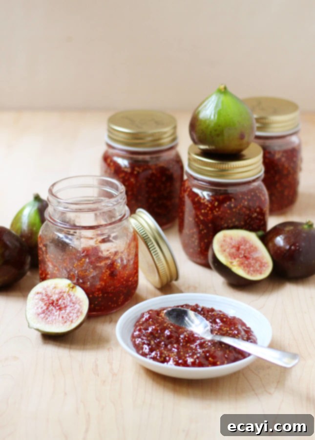 Artisan Balsamic Fig Preserve 2 Balsamic Fig Jam // FoodNouveau.com