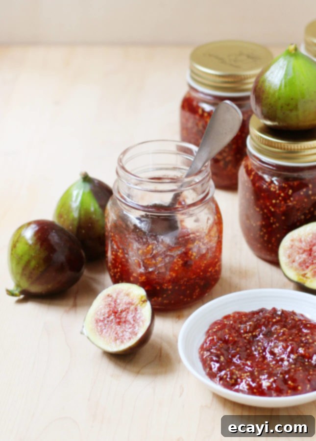 Artisan Balsamic Fig Preserve 3 Balsamic Fig Jam // FoodNouveau.com