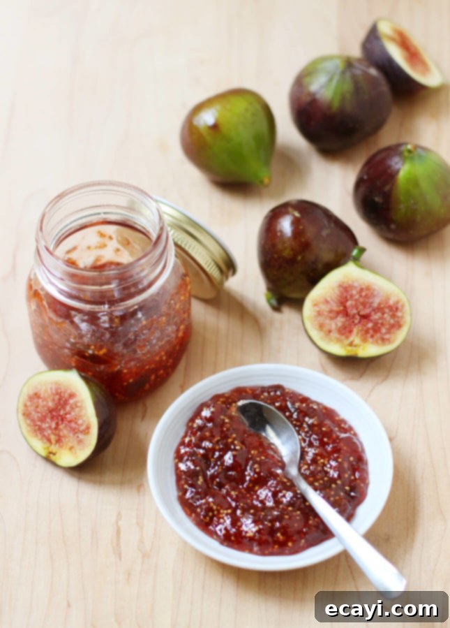 Artisan Balsamic Fig Preserve 4 Balsamic Fig Jam // FoodNouveau.com