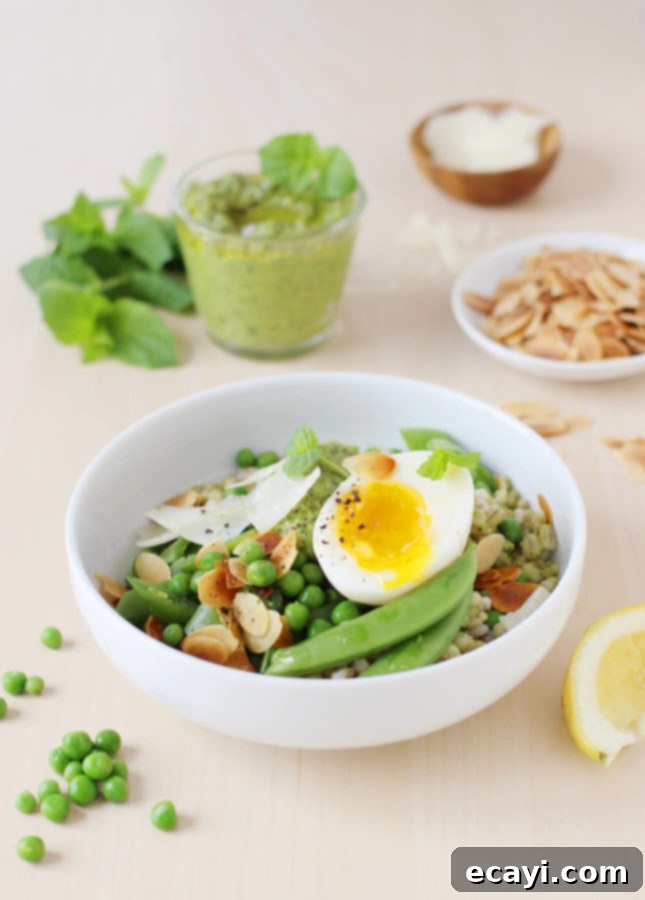 Sweet Pea & Jammy Egg Pesto Bowls 6 Sweet Pea Bowls with Soft-Boiled Eggs and Pea Pesto, from Build-a-Bowl // FoodNouveau.com