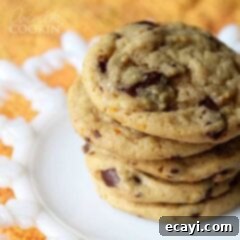 Citrus-Kissed Chocolate Chip Treats 6 A close up photo a stack of orange chocolate chip cookies, showcasing their texture and deliciousness.