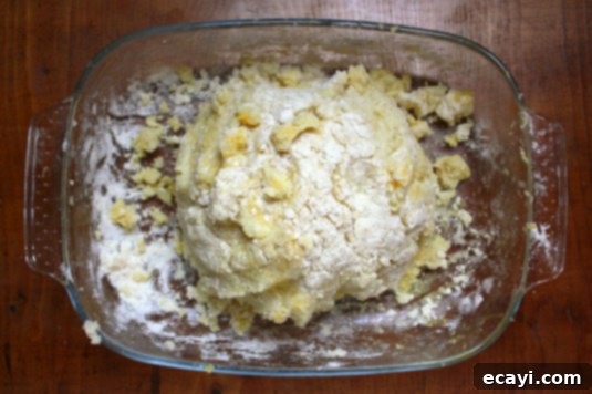 Homemade Gnocchi Dough // FoodNouveau.com Homemade Gnocchi Dough // FoodNouveau.com