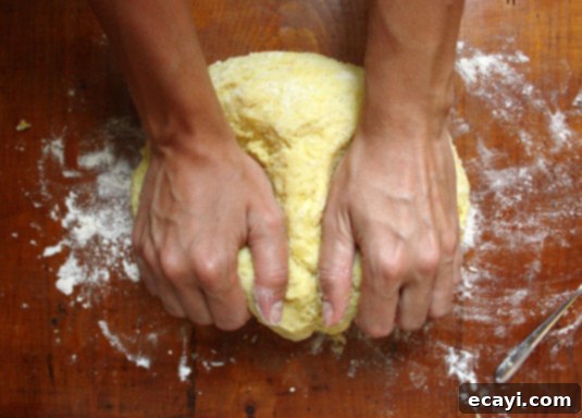 Homemade Gnocchi Dough // FoodNouveau.com Homemade Gnocchi Dough // FoodNouveau.com