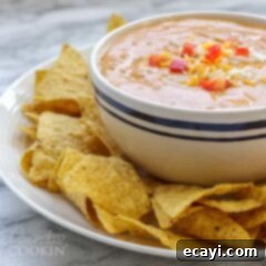 Ultimate Three Ingredient Chili Cheese Dip 2 chili cheese dip