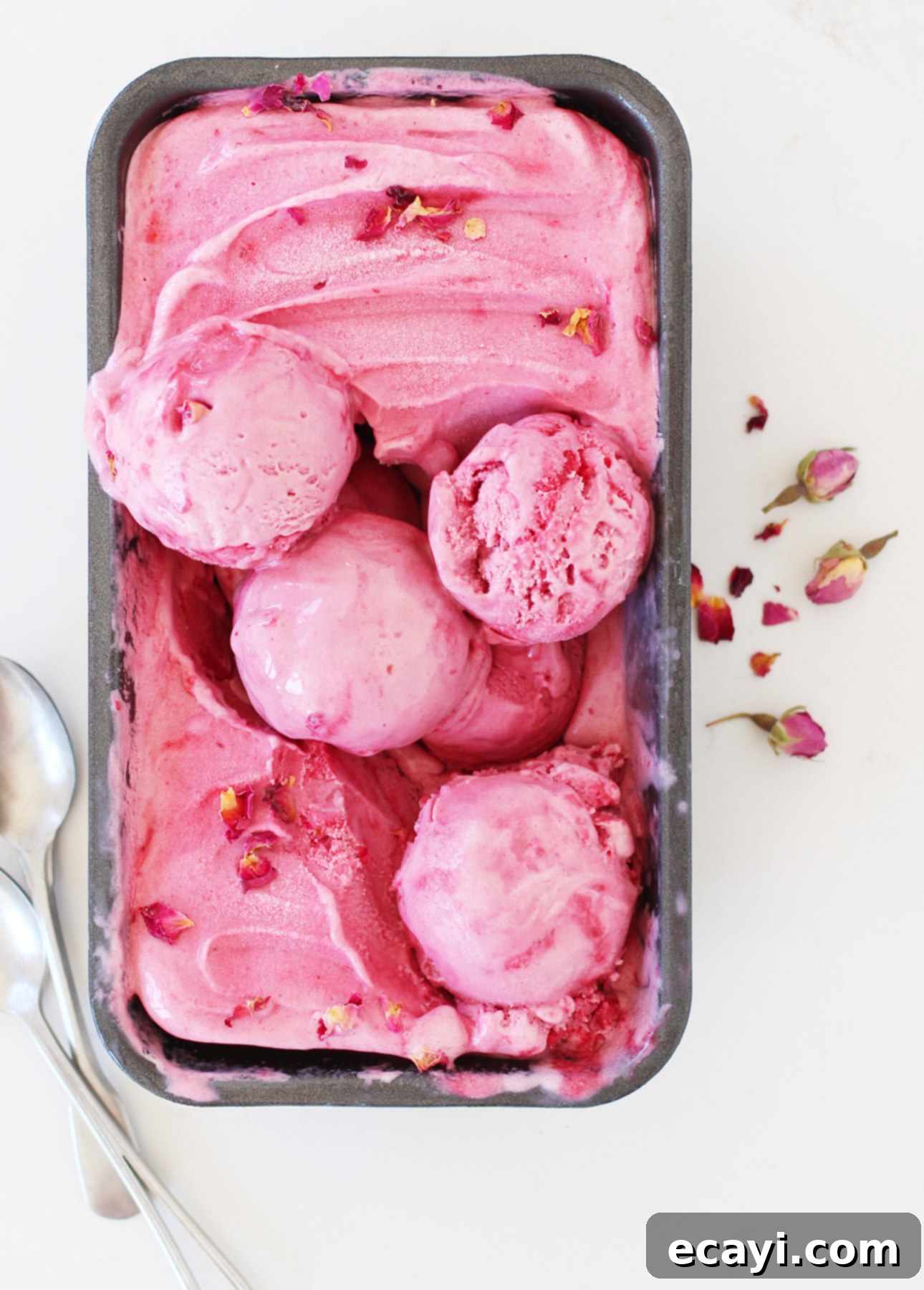 Creamy Raspberry Rose Gelato 4 A rectangular metal pan filled with freshly churned raspberry rose gelato, its creamy pink texture glistening. A portion of the gelato has been artfully scooped into round balls, and the surface is elegantly garnished with small, delicate rose petals, ready to be enjoyed. // FoodNouveau.com