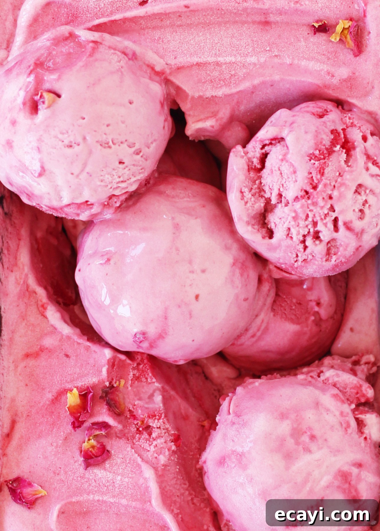 Creamy Raspberry Rose Gelato 6 Luscious scoops of creamy, pink raspberry gelato artfully arranged, some featuring subtle swirls of raspberry puree and delicate scattered pink rose petals, creating a visually appealing and sweet dessert presentation that hints at its exquisite flavor. // FoodNouveau.com
