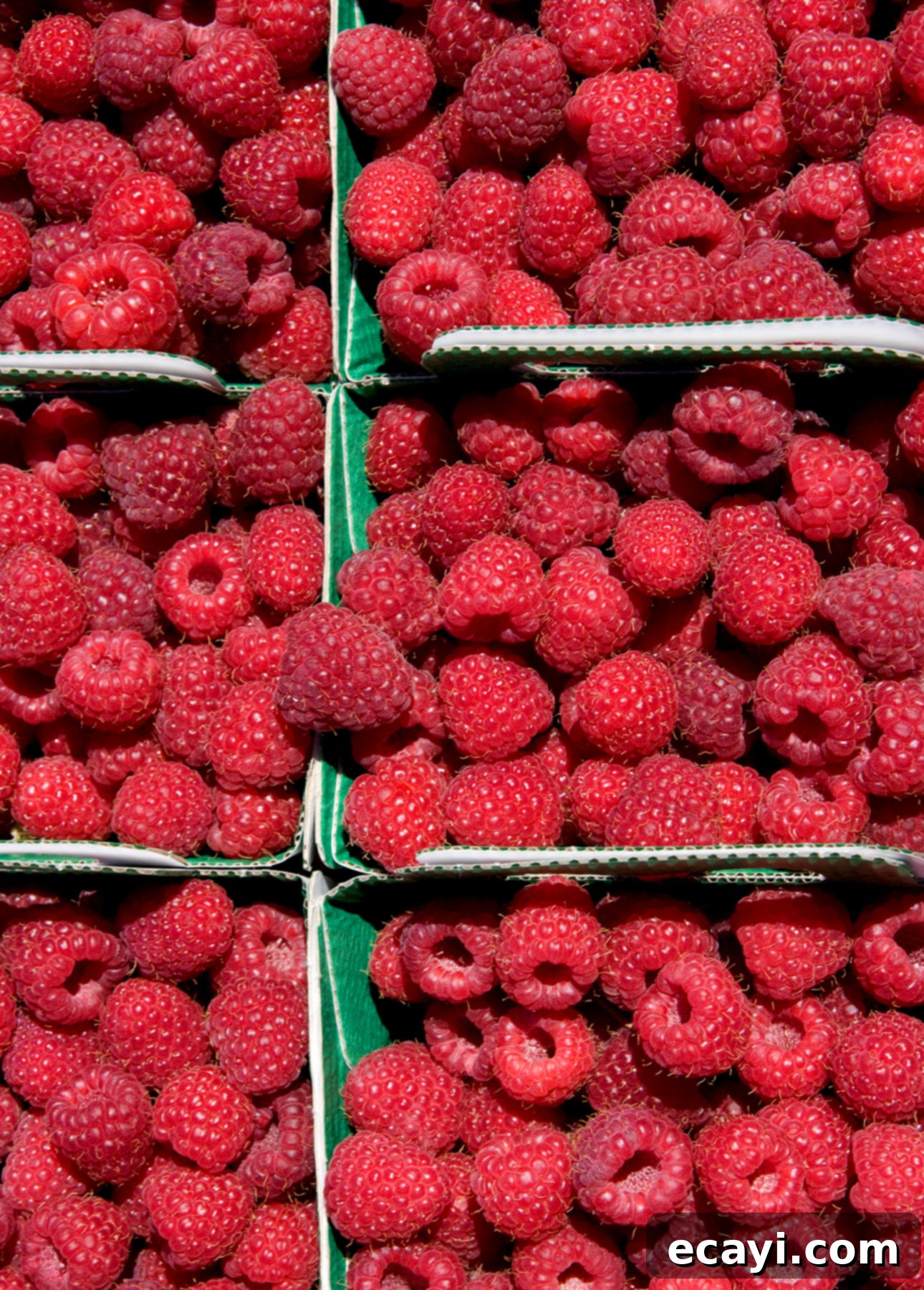 Creamy Raspberry Rose Gelato 7 Close-up shot of several baskets overflowing with ripe, red fresh raspberries at a bustling market, highlighting their vibrant color and plump texture, perfect for making gelato. // FoodNouveau.com