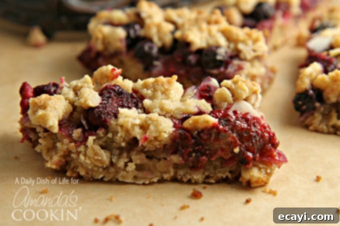 Berry Bliss Bars 4 A close up photo of two Berrylicious Cookie Bars on a white plate, ready to be enjoyed.