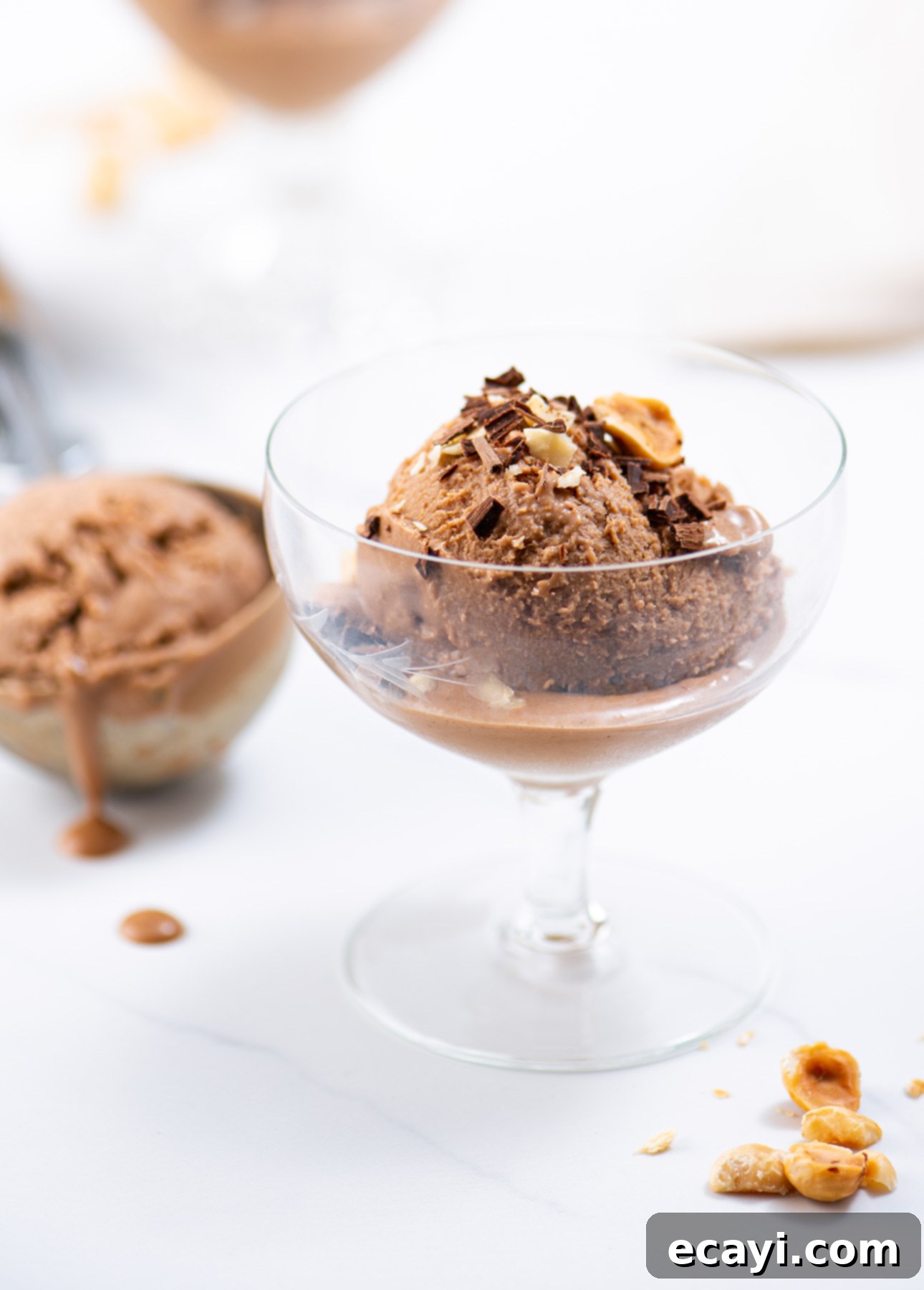 Velvet Chocolate Hazelnut Gelato 7 Gianduja Gelato (Milk Chocolate and Hazelnut Gelato) // FoodNouveau.com