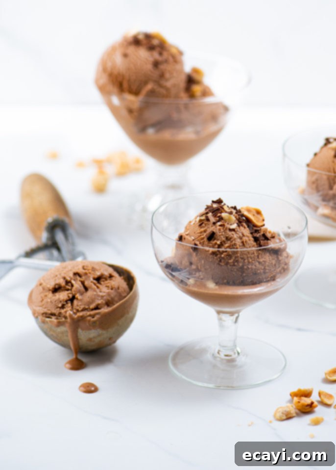 Velvet Chocolate Hazelnut Gelato 8 Scoops of milk chocolate hazelnut gelato in glass cups, garnished with small chocolate shavings and hazelnuts, sit on a white surface. An ice cream scoop with melting gelato is in the background, alongside scattered hazelnuts. // FoodNouveau.com