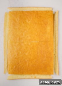 The Ultimate Easy Layered Sheet Cake 11 img 12982 10