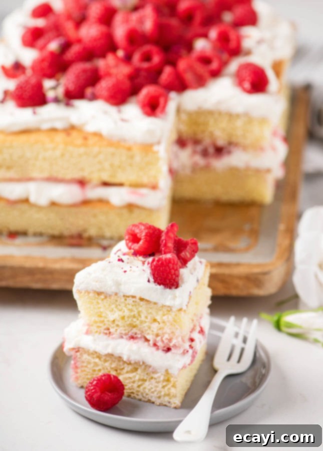 The Ultimate Easy Layered Sheet Cake 9 Side view of an elegant layered sheet cake with berries and cream