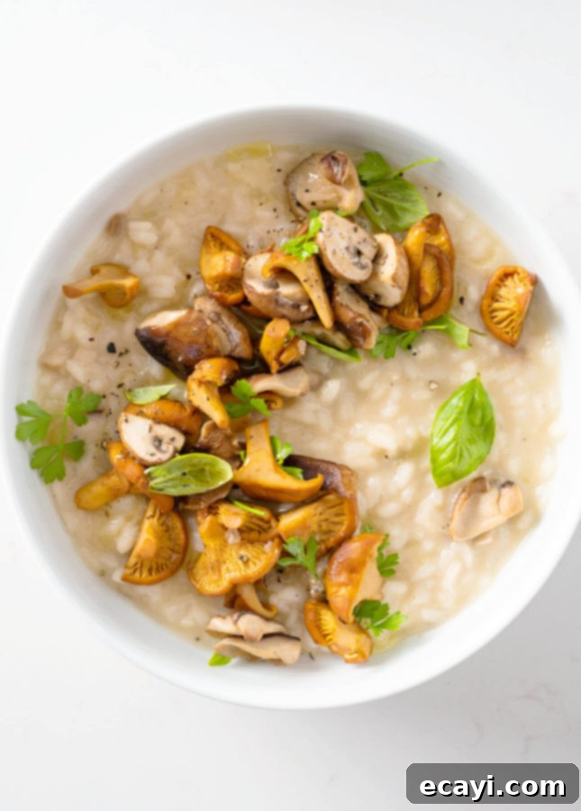 Rustic Wild Mushroom Risotto 2 Wild Mushroom Risotto // FoodNouveau.com