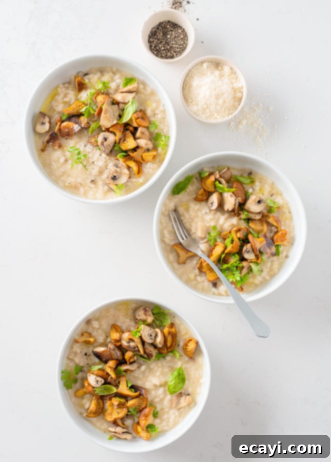 Rustic Wild Mushroom Risotto 6 Wild Mushroom Risotto // FoodNouveau.com