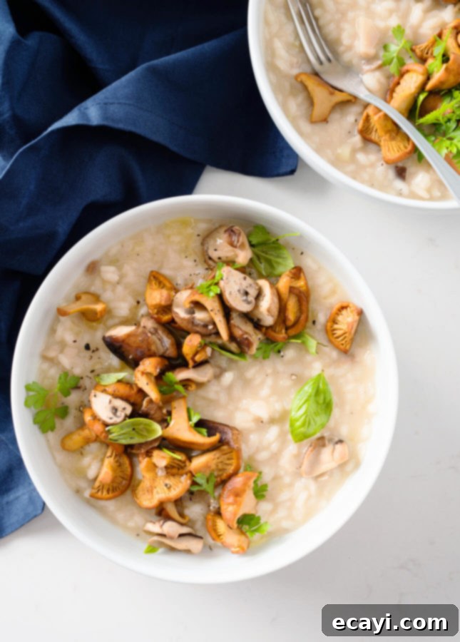Rustic Wild Mushroom Risotto 8 Wild Mushroom Risotto // FoodNouveau.com