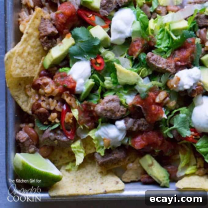 Gourmet Filet Mignon Nachos 2 An overhead photo of filet mignon steak nachos.