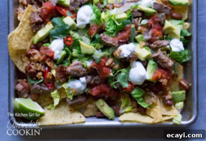 Gourmet Filet Mignon Nachos 4 A close up overhead photo of filet mignon steak nachos.