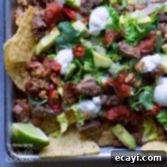 Gourmet Filet Mignon Nachos 5 An overhead photo of filet mignon steak nachos topped with beans, rice, lettuce, avocado, salsa, sour cream, and cilantro.