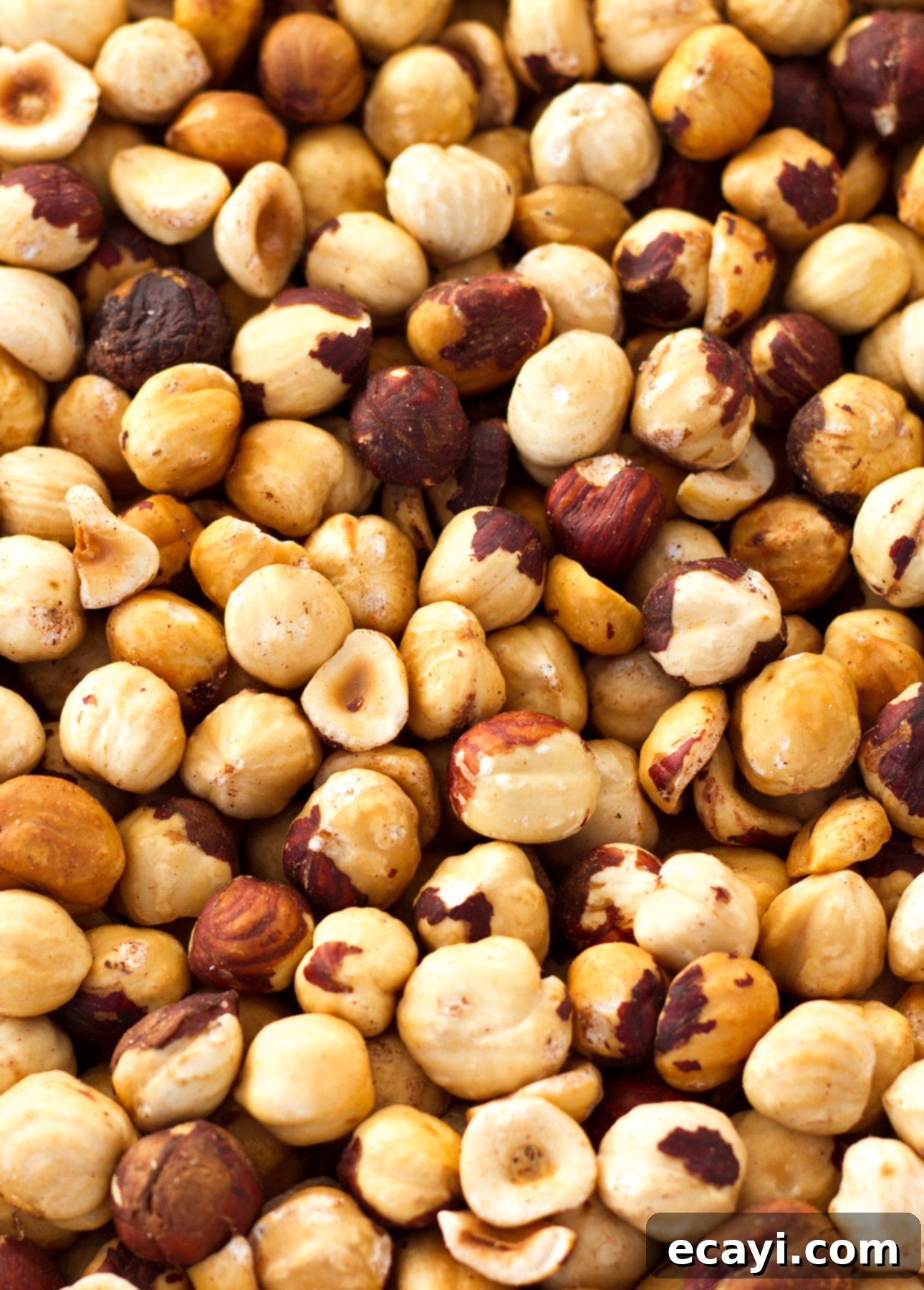 Classic Italian Hazelnut Torte 6 Roasted and peeled hazelnuts, ready to be ground for Torta di Nocciole