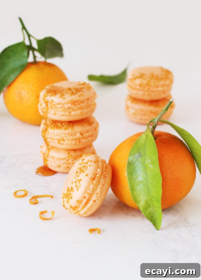 Luscious Honey Orange French Macarons 5 Honey Orange French Macarons with a rich, zesty filling